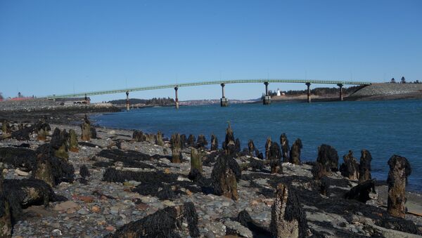 Ponte internacional entre a ilha de Lubec, no Maine (EUA), e Campobello, New Brunswick (Canadá) - Sputnik Brasil