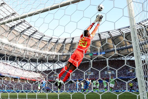 Goleiro nigeriano, Francis Uzoho,agarra a bola durante jogo contra a Islândia na Copa do Mundo de 2018. A Nigéria venceu o jogo por 2x0. - Sputnik Brasil