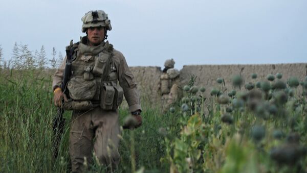 Soldado norte-americano no campo de papoilas no Afeganistão - Sputnik Brasil