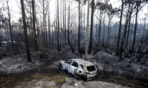 Carro destruído por fogo florestal em um bosque na Flórida - Sputnik Brasil