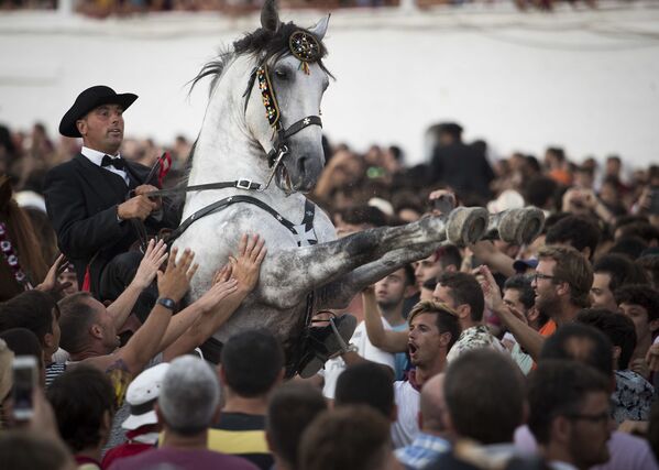 Cavalo com cavaleiro em meio à multidão durante a celebração tradicional da festa de São João na ilha espanhola de Menorca - Sputnik Brasil