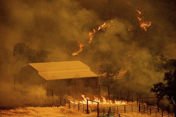Incêndio florestal em Guinda, Califórnia - Sputnik Brasil