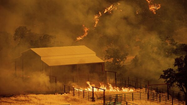 Incêndio florestal em Guinda, Califórnia - Sputnik Brasil
