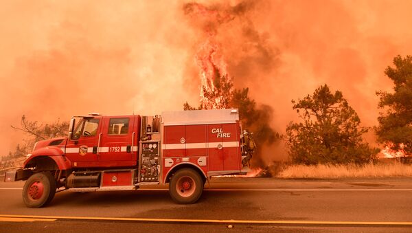 Bombeiros tentando estabelecer controle sobre incêndio florestal, Califórnia - Sputnik Brasil