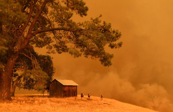 Bombeiros olhando para a fumaça dos incêndios florestais, Califórnia - Sputnik Brasil