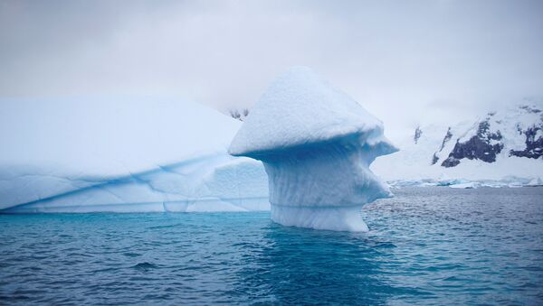Um iceberg flutua perto da Ilha Danco, Antártica. - Sputnik Brasil