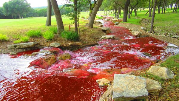 Rio vermelho com a tonalidade de sangue (imagem ilustrativa) - Sputnik Brasil