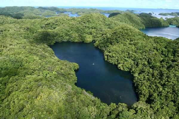 O Lago das águas-vivas se encontra no arquipélago das Ilhas Chelbacheb, no oceano Pacífico, e pertence à República de Palau - Sputnik Brasil