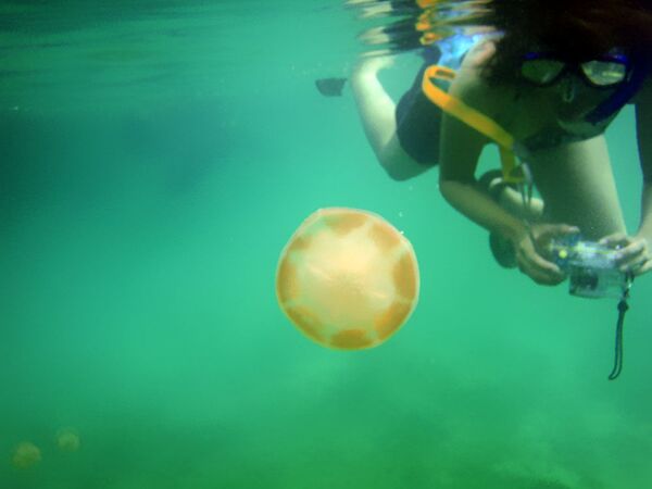 Muitos chegam ao lago para praticar fotografia submarina ou simplesmente gravar memórias inesquecíveis - Sputnik Brasil
