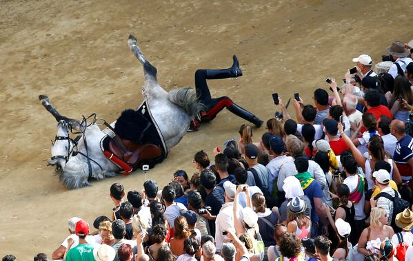 Carabineiro italiano caindo do cavalo durante o desfile que precede o início da corrida de cavalos Palio of Siena - Sputnik Brasil