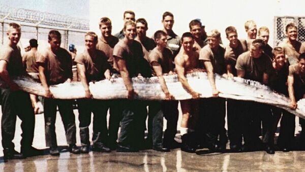Peixe-remo pescado no litoral do Pacífico em 1996, Califórnia (foto de arquivo) - Sputnik Brasil