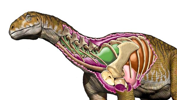 Imagem referencial do dinossauro Ingentia prima mostrando seu sistema respiratório desenvolvido - Sputnik Brasil