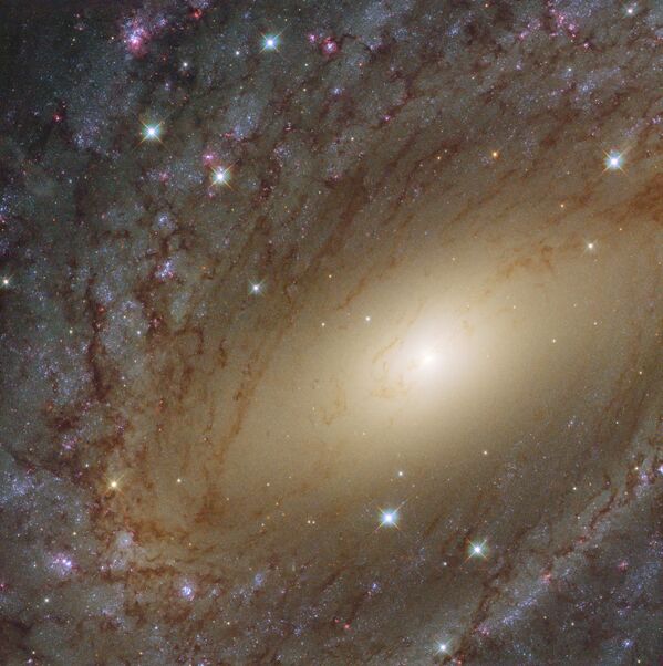 A galáxia espiral NGC 6744 que se encontra na constelação de Pavo - Sputnik Brasil