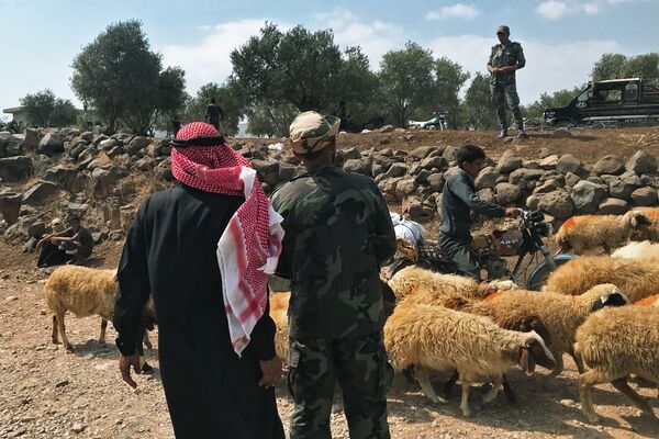 Civis perto de rebanho de ovelhas em Daraa, na fronteira entre Síria e Jordânia - Sputnik Brasil