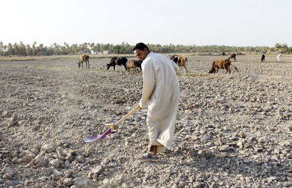 Homem tenta recuperar o campo seco no Iraque - Sputnik Brasil