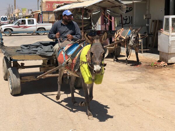 Homem dirigindo carroça em um campo de refugiados na Jordânia - Sputnik Brasil