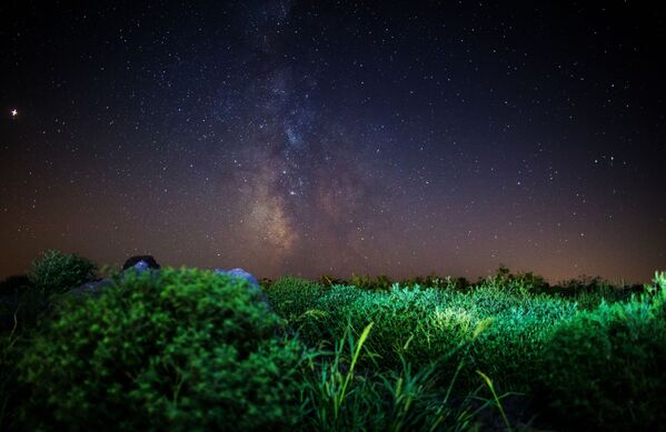 Céu noturno na região russa de Krasnodar durante as Perseidas - Sputnik Brasil