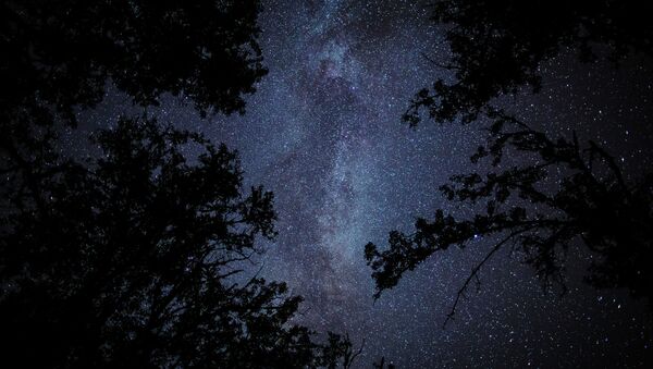 Pedaço de céu estrelado entre árvores de um bosque (imagem ilustrativa) - Sputnik Brasil
