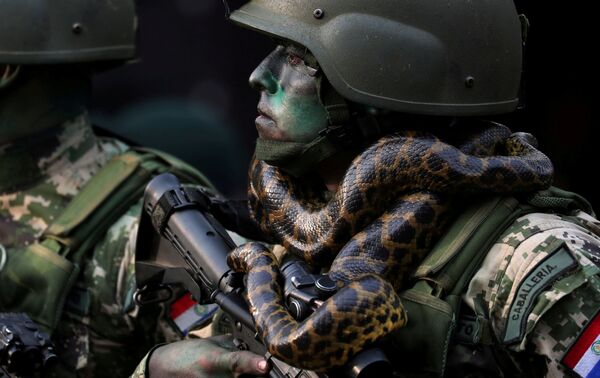 Soldado das forças especiais com uma cobra em volta do pescoço durante a parada militar em Assunção, Paraguai, em 15 de agosto de 2018 - Sputnik Brasil