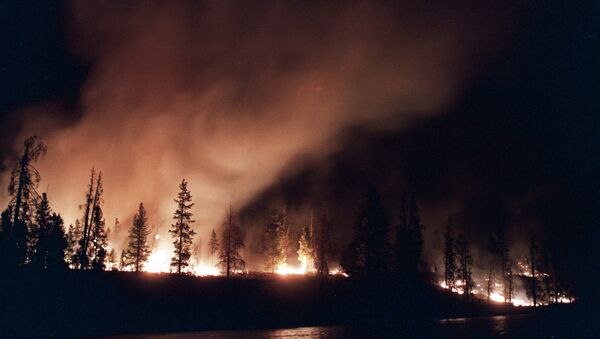 Incêndio florestal nos EUA (foto de arquivo) - Sputnik Brasil