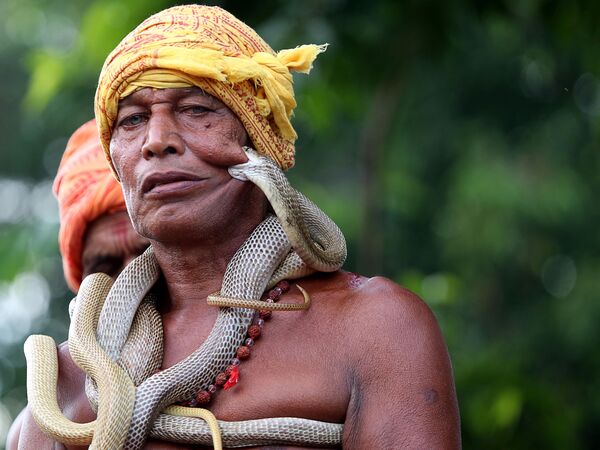 Encantador de serpentes indiano participa do festival dedicado à festa Maa Mansa Puja, no estado de Jharkhand - Sputnik Brasil