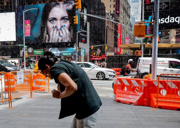 Mulher é atacada por enxame de vespas na praça Times Square em Nova York, nos EUA - Sputnik Brasil