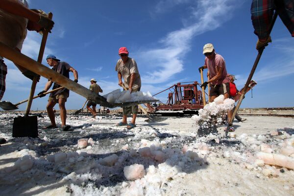 Exploração de sal rosa no lago Sasyk, na Crimeia - Sputnik Brasil