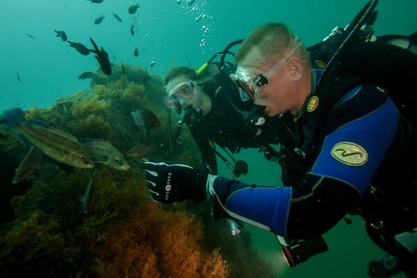 Mergulhadores alimentam os peixes com mexilhões nas águas do mar Negro - Sputnik Brasil