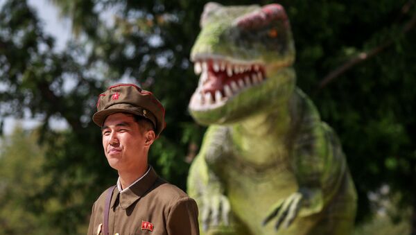 Militar perto do Museu de História Natural em Pyongyang - Sputnik Brasil
