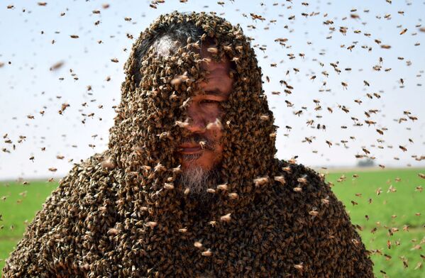 Homem saudita com corpo coberto de abelhas posa para foto em Tabuk, Arábia Saudita, em 11 de setembro de 2018 - Sputnik Brasil