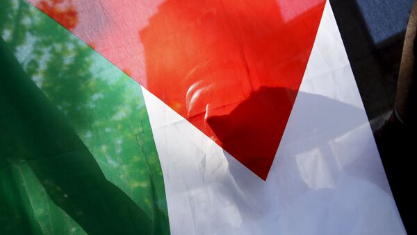 Um refugiado palestino segura a bandeira da Palestina durante um protesto em Madri, Espanha (arquivo) - Sputnik Brasil