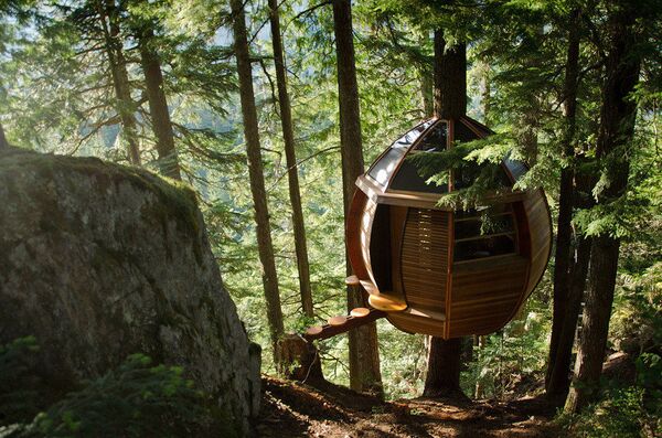 HemLoft é uma construção secreta privada que foi construída em uma árvore em Whistler, no Canadá - Sputnik Brasil