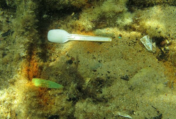 Colher de plástico no fundo do mar perto da ilha grega de Rodes - Sputnik Brasil