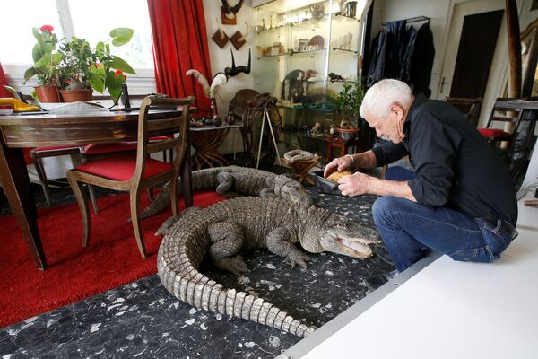 Francês de 67 anos, Philippe Gillet, posa para foto com crocodilo dentro de sua casa na cidade de Nantes, na França, em 19 de setembro de 2018 - Sputnik Brasil