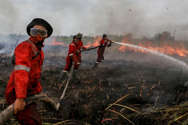 Bombeiros combatem fogo na Indonésia - Sputnik Brasil