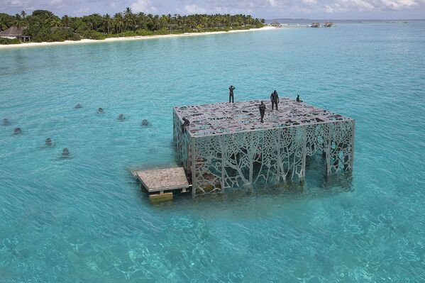 Estrutura porosa da galeria de arte semissubmersa, construída pelo escultor Jason deCaires Taylor nas ilhas Maldivas, permite a passagem de águas e peixes - Sputnik Brasil