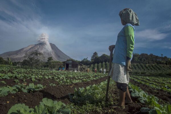 Agricultor indonésio olha o vulcão Sinabung, em erupção - Sputnik Brasil