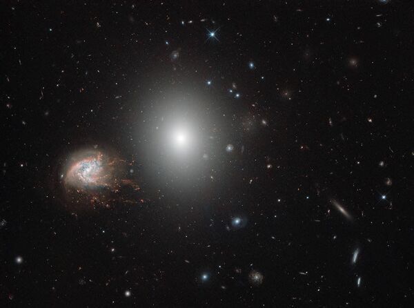 Galáxia espiral NGC 4858, localizada na constelação de Cabeleira de Berenice - Sputnik Brasil