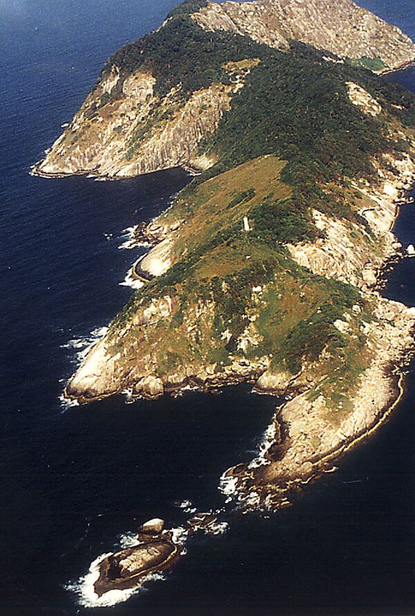 Ilha de Queimada Grande. A ilha brasileira é famosa por abrigar 5 cobras por metro quadrado - Sputnik Brasil