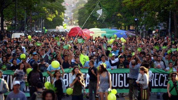 Ato em apoio a legalização da cannabis em Montevideu - Sputnik Brasil
