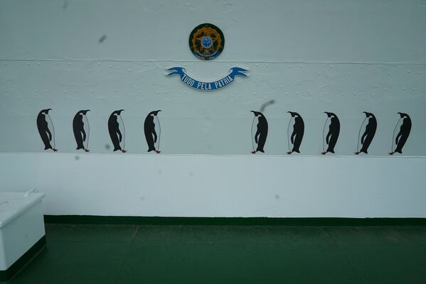 Desenhos de pinguins representando o número de viagens do navio polar Almirante Maximiano à Antártica - Sputnik Brasil