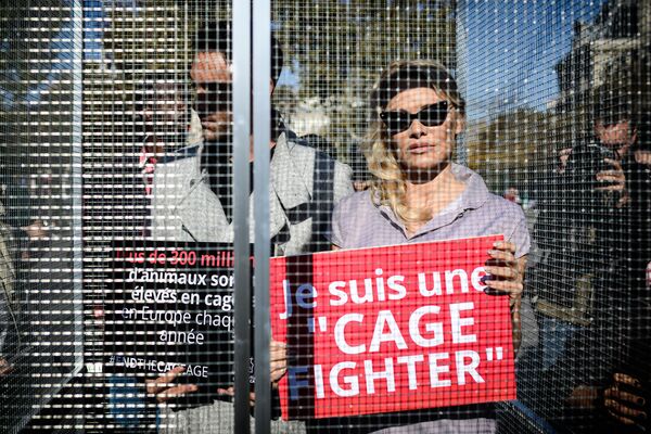 Atriz Pamela Anderson e seu parceiro de dança, Maxime Dereymez, participam de um protesto contra engaiolamento de animais, em Paris - Sputnik Brasil