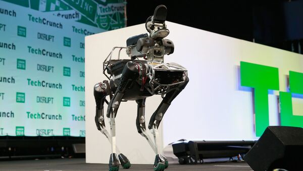 Robô cachorro da Boston Dynamics - Sputnik Brasil