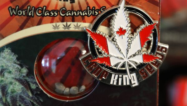 Um broche promovendo a empresa Crop King Seeds com as cores da bandeira canadense sobre um pacote de sementes de maconha, à venda em Vancouver, Canadá. - Sputnik Brasil