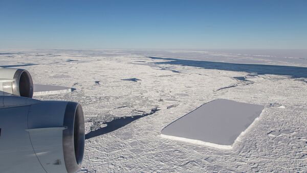 Iceberg retangular na Antártida - Sputnik Brasil