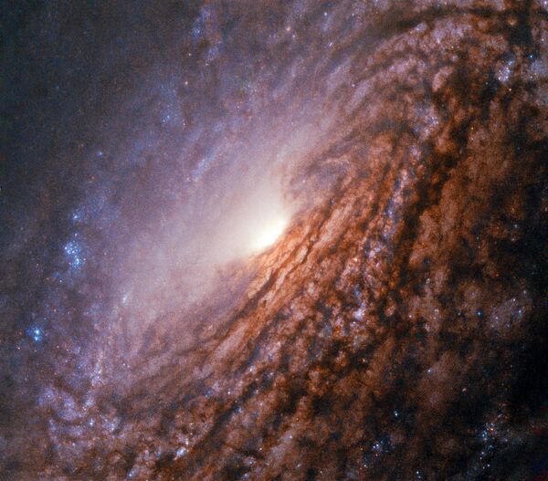 Galáxia espiral NGC 5033, localizada a 40 milhões de anos-luz da constelação Canes Venatici (ou Cães de Caça) - Sputnik Brasil