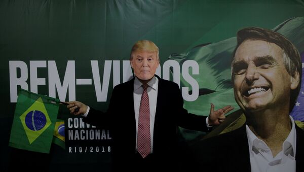 Apoiador de Jair Bolsonaro (PSL) com máscara de Donald Trump (foto de arquivo) - Sputnik Brasil