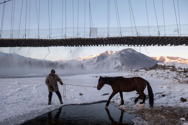 Homem levando cavalo para beber água no rio Katun, na república de Altai - Sputnik Brasil