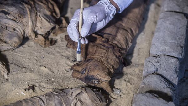 Dezenas de gatos mumificados são encontrados em tumba antiga em Saqqara, no Egito - Sputnik Brasil