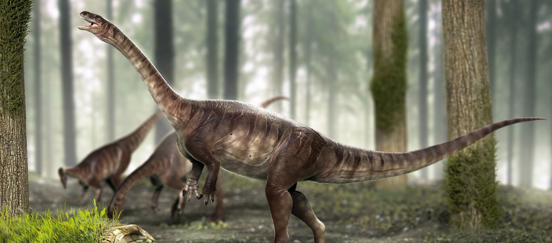 Dinossauro de pescoço longo mais antigo do mundo é achado no Brasil - Sputnik Brasil, 1920, 11.08.2021